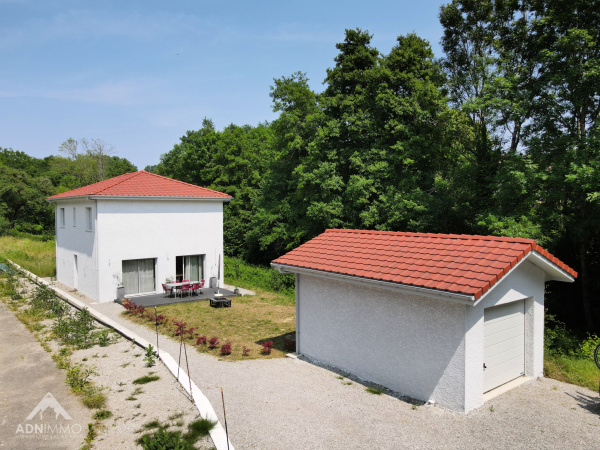 Offres de vente Maison Chevry 01170